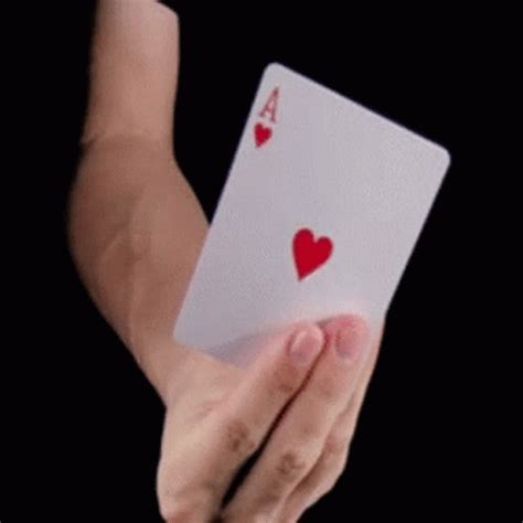 gif playing cards|Playing Cards GIFs .
